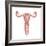 Female Reproductive Organs, Artwork-Henning Dalhoff-Framed Premium Photographic Print