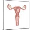 Female Reproductive Organs, Artwork-Henning Dalhoff-Mounted Premium Photographic Print