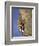 Female Rock Climber-null-Framed Photographic Print