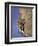 Female Rock Climber-null-Framed Photographic Print