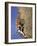 Female Rock Climber-null-Framed Photographic Print