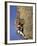 Female Rock Climber-null-Framed Photographic Print