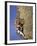 Female Rock Climber-null-Framed Photographic Print