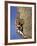 Female Rock Climber-null-Framed Photographic Print