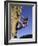 Female Rock Climber-null-Framed Photographic Print