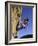 Female Rock Climber-null-Framed Photographic Print