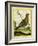 Female Ruffed Grouse-Georges-Louis Buffon-Framed Giclee Print