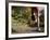 Female Runner Out on the Trails-null-Framed Photographic Print