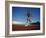 Female Runner Training on the Track-null-Framed Photographic Print