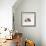 Female Shorthair Cream-Tricolour Guinea Pig Standing over Her Four One-Week Babies, UK-Jane Burton-Framed Photographic Print displayed on a wall