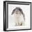 Female Silver and White French Lop-Eared Rabbit-Jane Burton-Framed Photographic Print