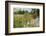 Female Silver-washed fritillary butterfly on Wild angelica-Jussi Murtosaari-Framed Photographic Print