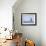 Female Snowy Owl Against Sky, Scotland, UK-Niall Benvie-Framed Photographic Print displayed on a wall