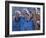 Female Soccer Team Standing Together-null-Framed Photographic Print