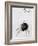 Female Spider, 1578-Joris Hoefnagel-Framed Giclee Print