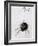 Female Spider, 1578-Joris Hoefnagel-Framed Giclee Print