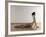 Female Stretching, Artwork-SCIEPRO-Framed Photographic Print