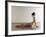 Female Stretching, Artwork-SCIEPRO-Framed Photographic Print