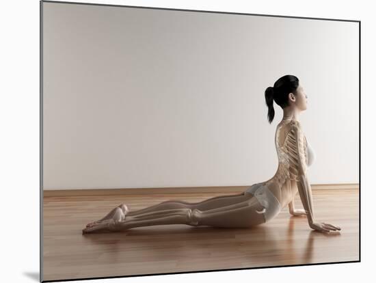 Female Stretching, Artwork-SCIEPRO-Mounted Photographic Print