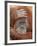 Female Sumatran Orangutan-Adam Jones-Framed Photographic Print