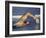 Female Swimmer in Action-null-Framed Photographic Print