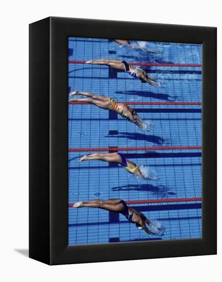 Female Swimmers at the Start of a Race-null-Framed Premier Image Canvas