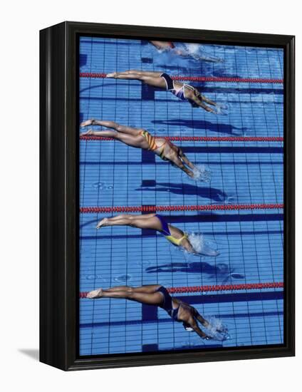 Female Swimmers at the Start of a Race-null-Framed Premier Image Canvas