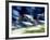 Female Swimmers at the Start of a Race-null-Framed Photographic Print