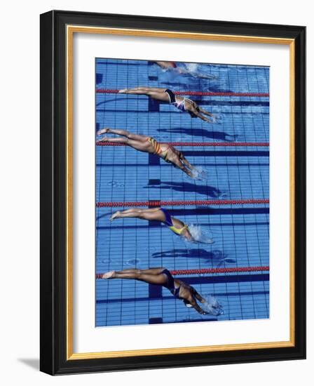 Female Swimmers at the Start of a Race-null-Framed Photographic Print