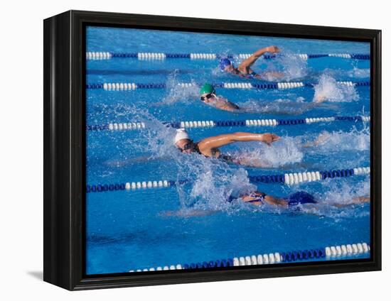 Female Swimmers Competing in a Freestyle Race-null-Framed Premier Image Canvas