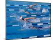 Premium Photographic Print