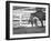 Female Thoroughbred and Foal, Donamire Horse Farm, Lexington, Kentucky-Adam Jones-Framed Photographic Print