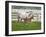 Female Thoroughbred and Foal, Donamire Horse Farm, Lexington, Kentucky-Adam Jones-Framed Photographic Print