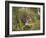 Female Tiger, with Four-Month-Old Cub, Bandhavgarh National Park, India-Tony Heald-Framed Photographic Print