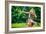 Female Youth Spinning Hoop-Stephen Arens-Framed Photographic Print