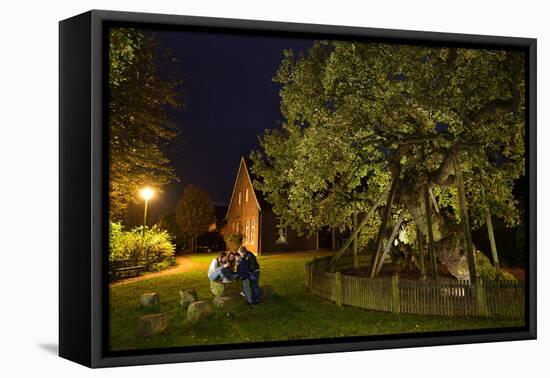 Femeiche' the Court Tree at Night-Solvin Zankl-Framed Premier Image Canvas