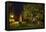 Femeiche' the Court Tree at Night-Solvin Zankl-Framed Premier Image Canvas