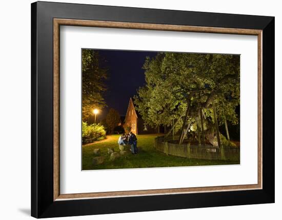 Femeiche' the Court Tree at Night-Solvin Zankl-Framed Photographic Print