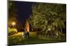 Femeiche' the Court Tree at Night-Solvin Zankl-Mounted Photographic Print