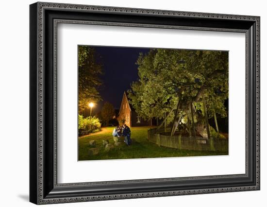 Femeiche' the Court Tree at Night-Solvin Zankl-Framed Photographic Print