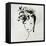 Feminine III-Aimee Wilson-Framed Stretched Canvas