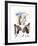 Femme au Fauteuil Canne-Pablo Picasso-Framed Collectable Print