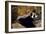 Femme aux éventails-Edouard Manet-Framed Giclee Print