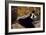 Femme aux éventails-Edouard Manet-Framed Giclee Print