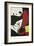 Femme et Oiseaux Dans un Paysage, 1970-1974-Joan Miro-Framed Art Print