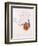 Femme Nue Aux Bas Bleus, Penchee Vers L'avant - Gouache Sur Papier De Egon Schiele (1890-1918), 191-Egon Schiele-Framed Premium Giclee Print