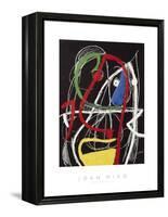 Femme, Oiseaux, 1976-Joan Miro-Framed Stretched Canvas