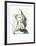 Femme Profile-Pablo Picasso-Framed Collectable Print