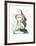 Femme Profile-Pablo Picasso-Framed Collectable Print