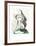 Femme Profile-Pablo Picasso-Framed Collectable Print